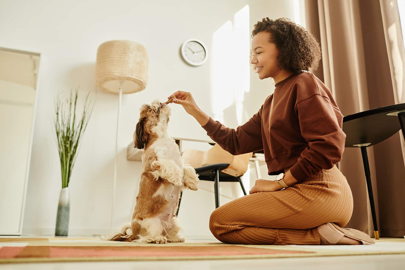 pet owner practicing positive reinforcment with their dog with susan during at home training session through zenpets