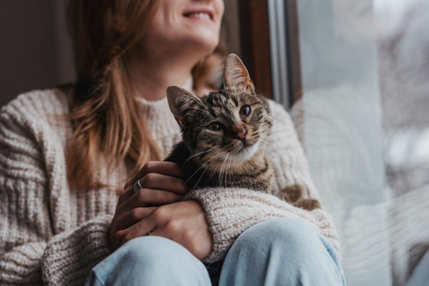 Cat with owner at a pet microchipping appointment in Columbia