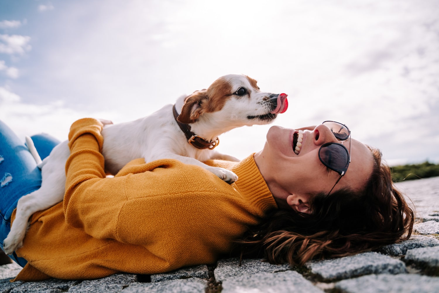 Dog gives owner kisses at a veterinary heartworm testing appointment in Columbia